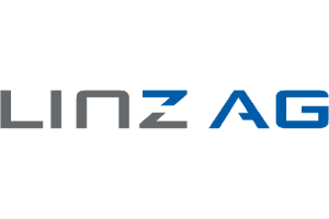 Businesspartner Logo Linz AG